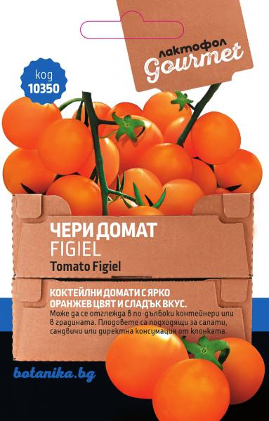 10350_45o2n