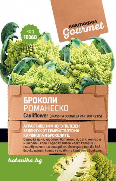 10360_uj52i