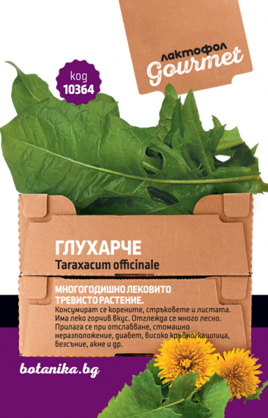 10364_yospv