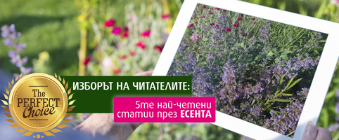 НАЙ-ЧЕТЕНИТЕ ЕСЕННИ СТАТИИ