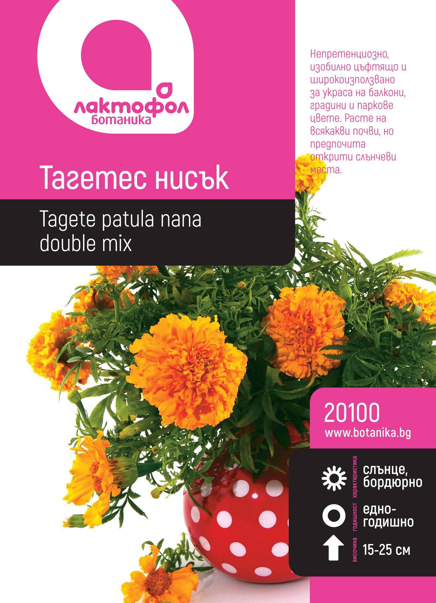 20100_btxm2