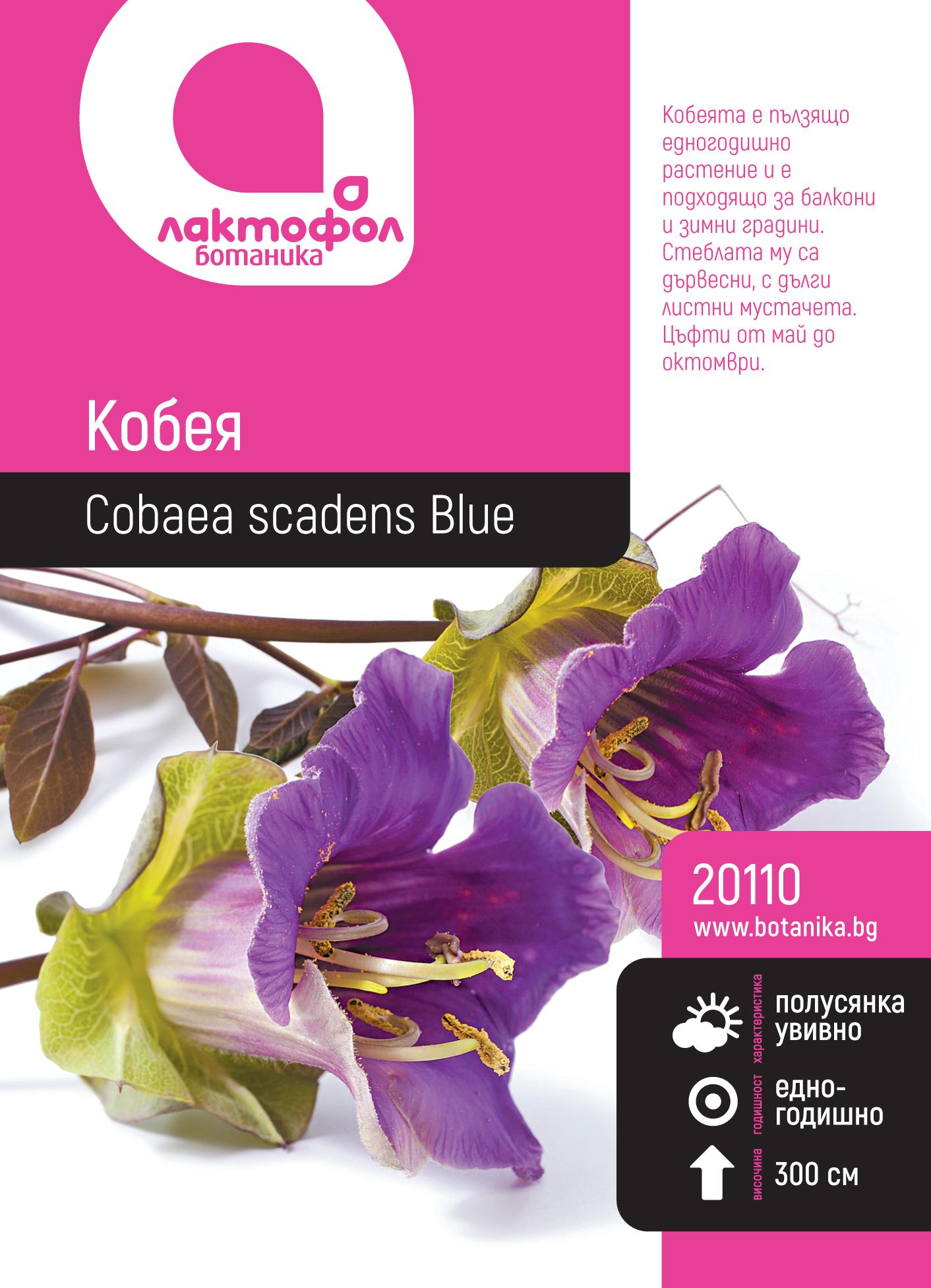 20110_iuyhx