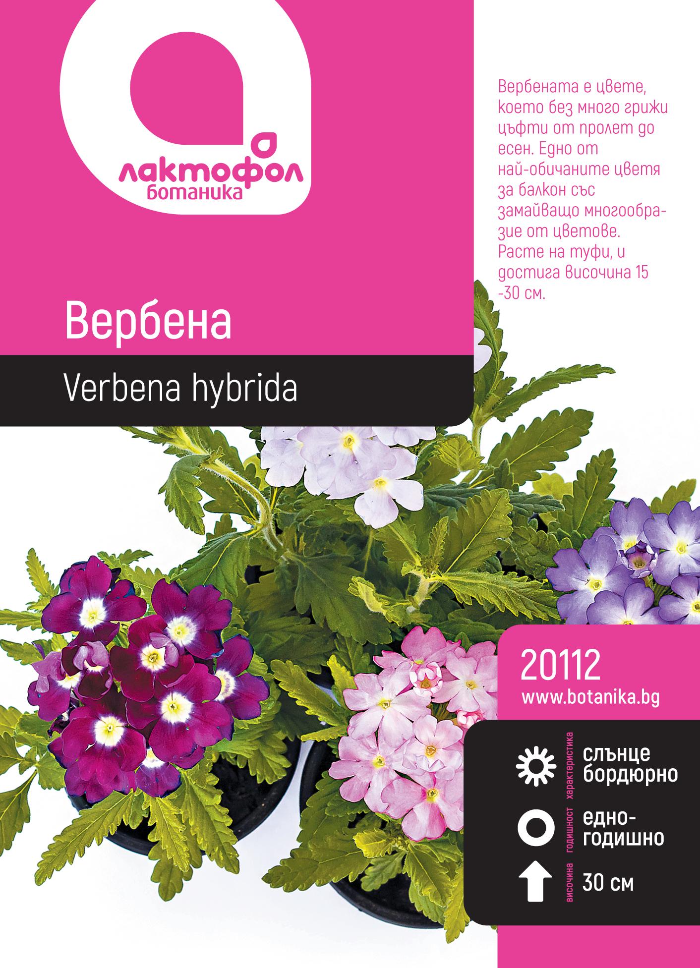 20112_28bti
