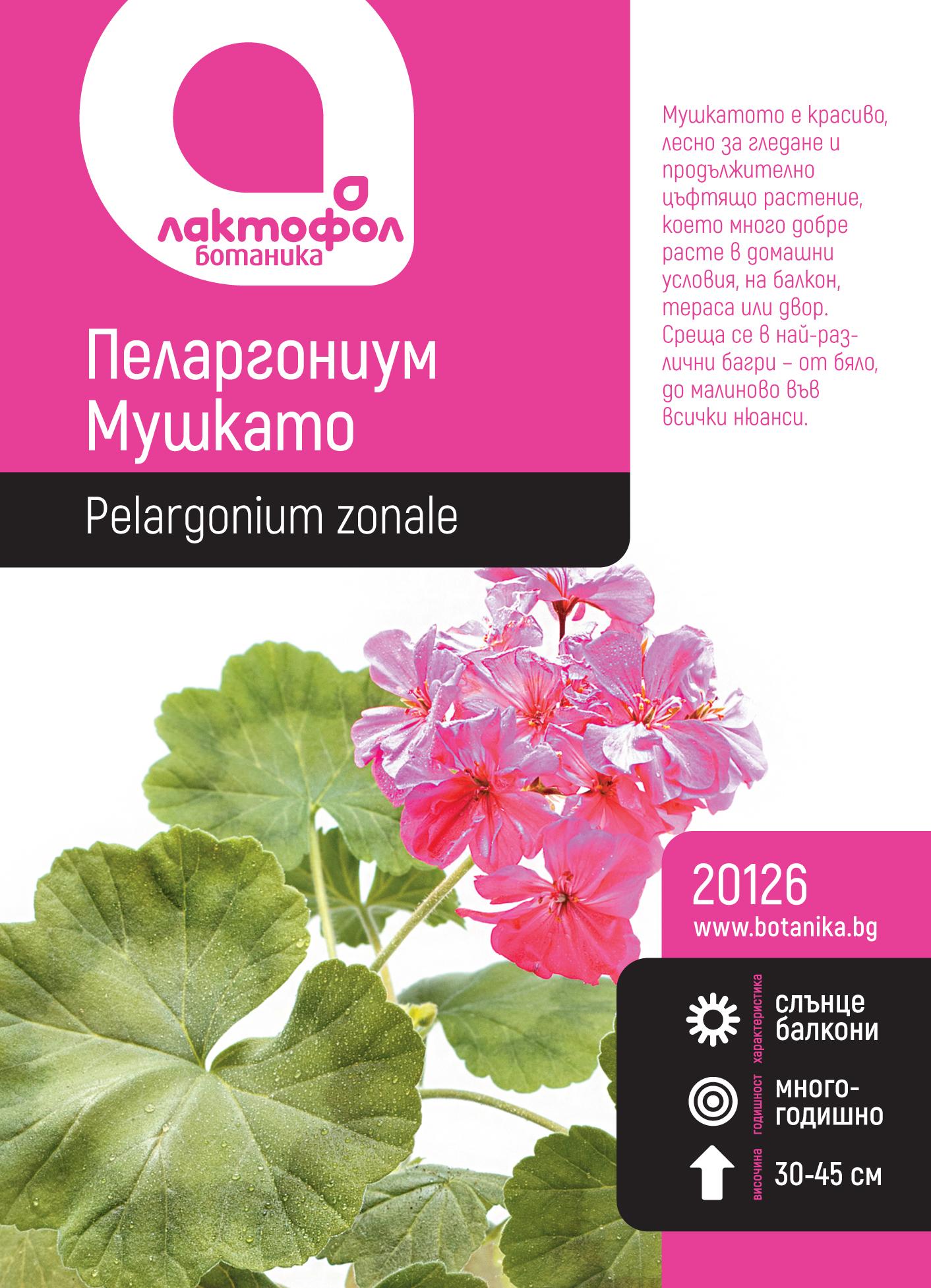 20126_f6aiy