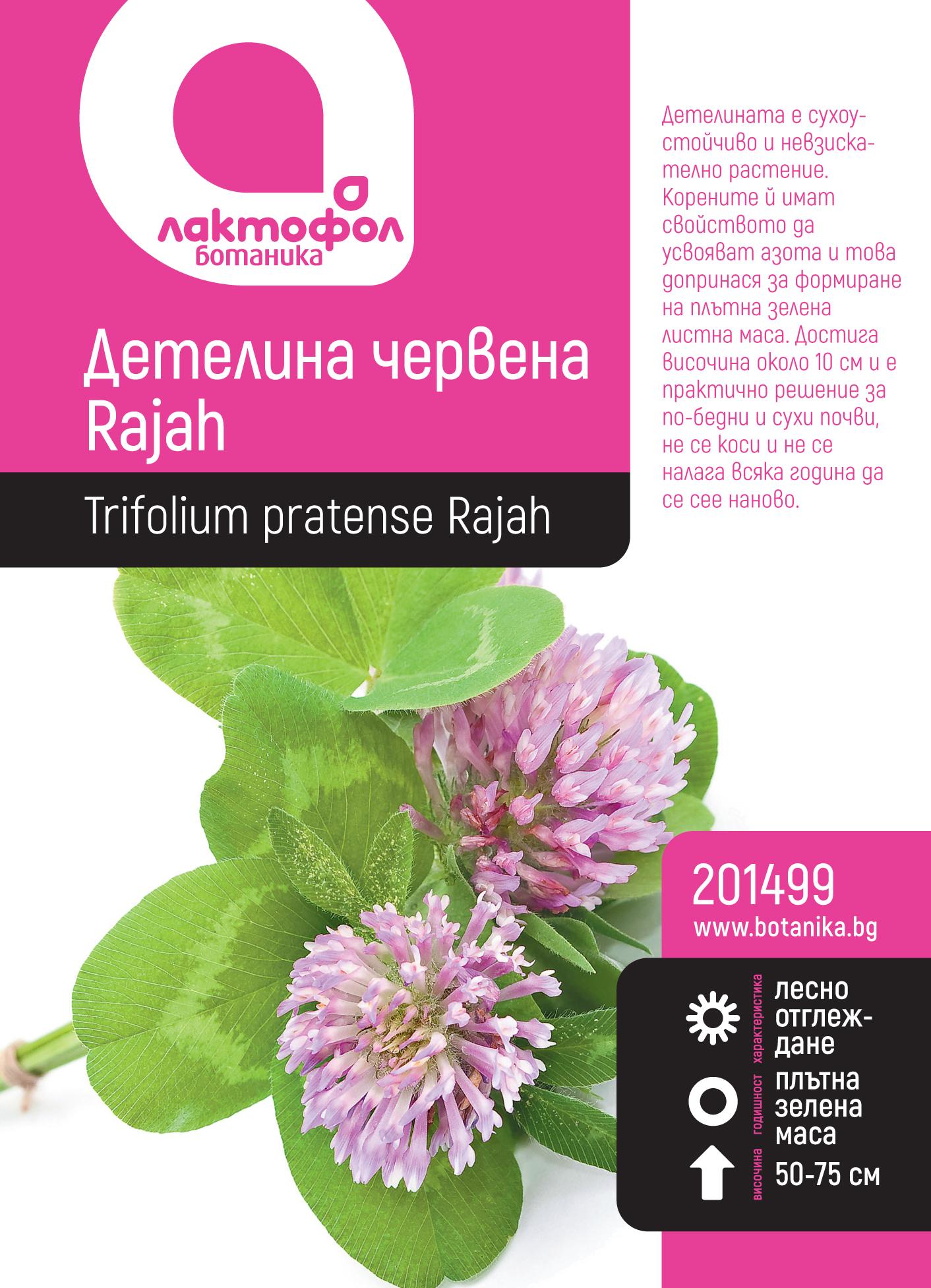 201499_oiemj