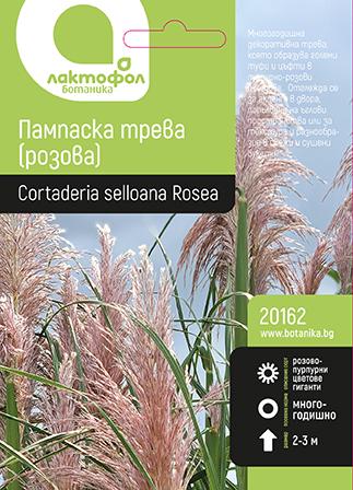 20162_ucfk0