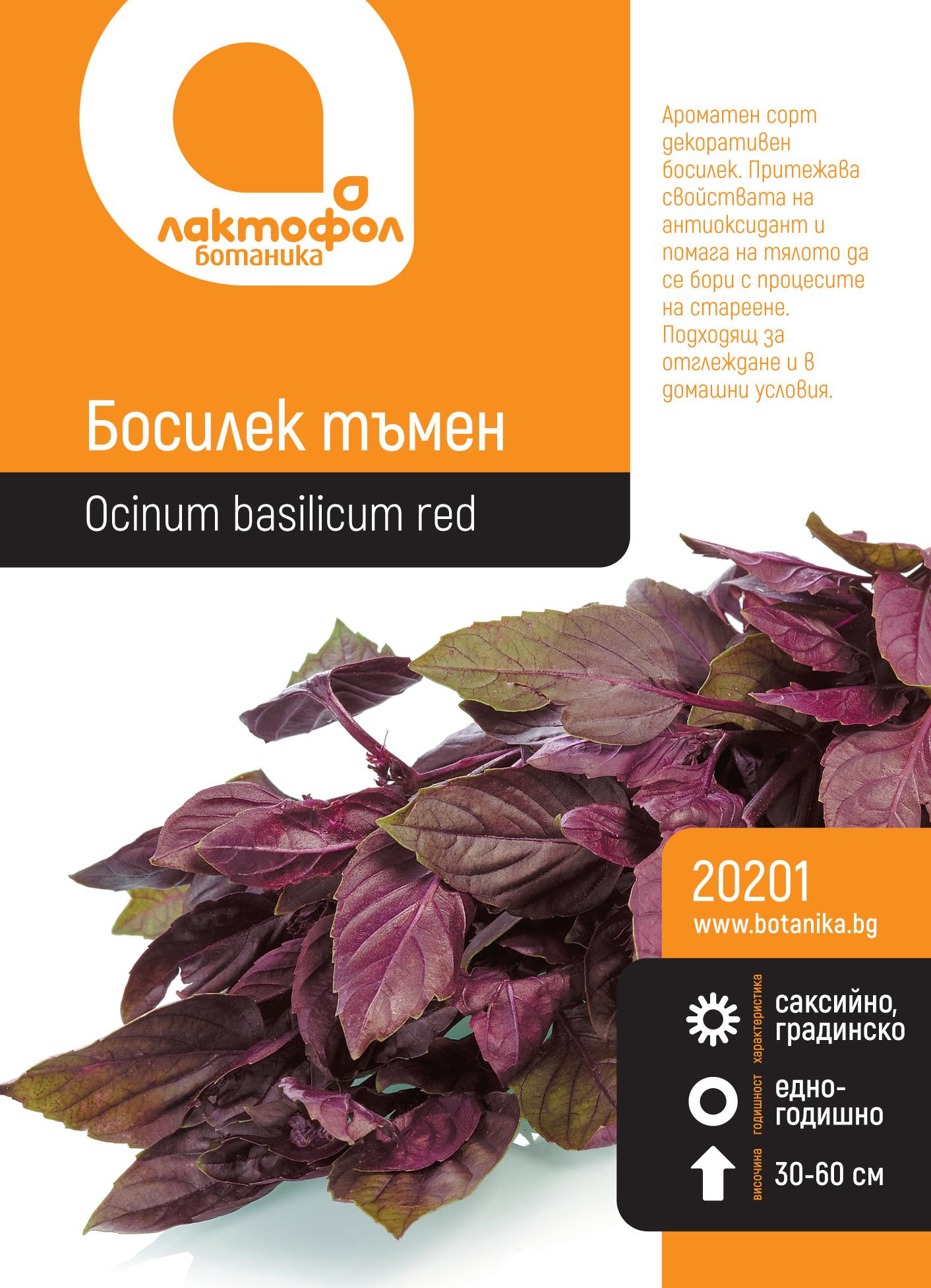 20201_cku59