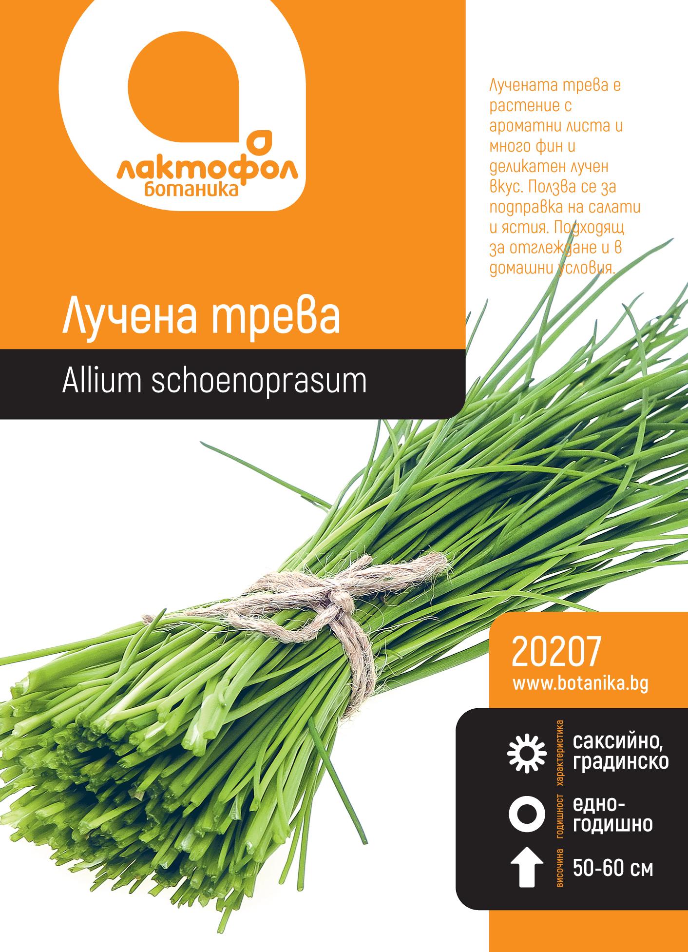20207_wyhlg