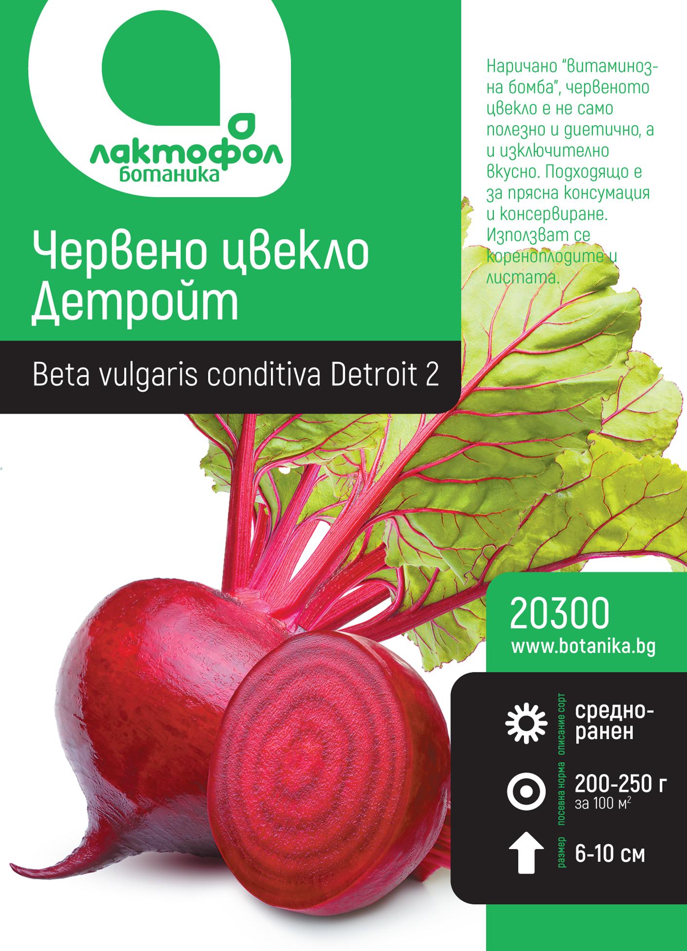 20300_2dzv9
