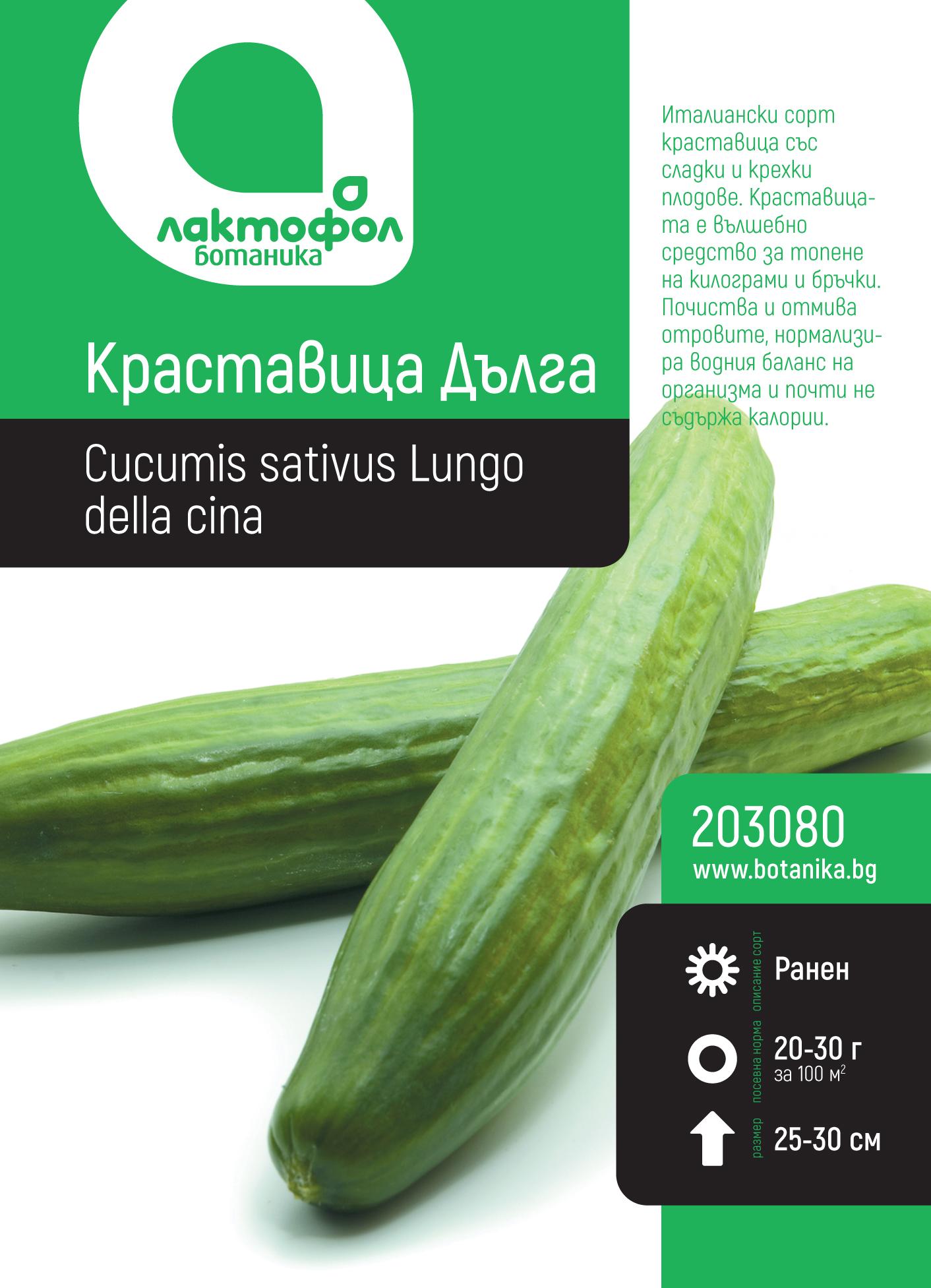 203080_gyo60