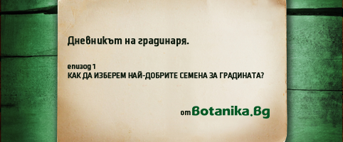 Как да изберем най-добрите семена за градината?