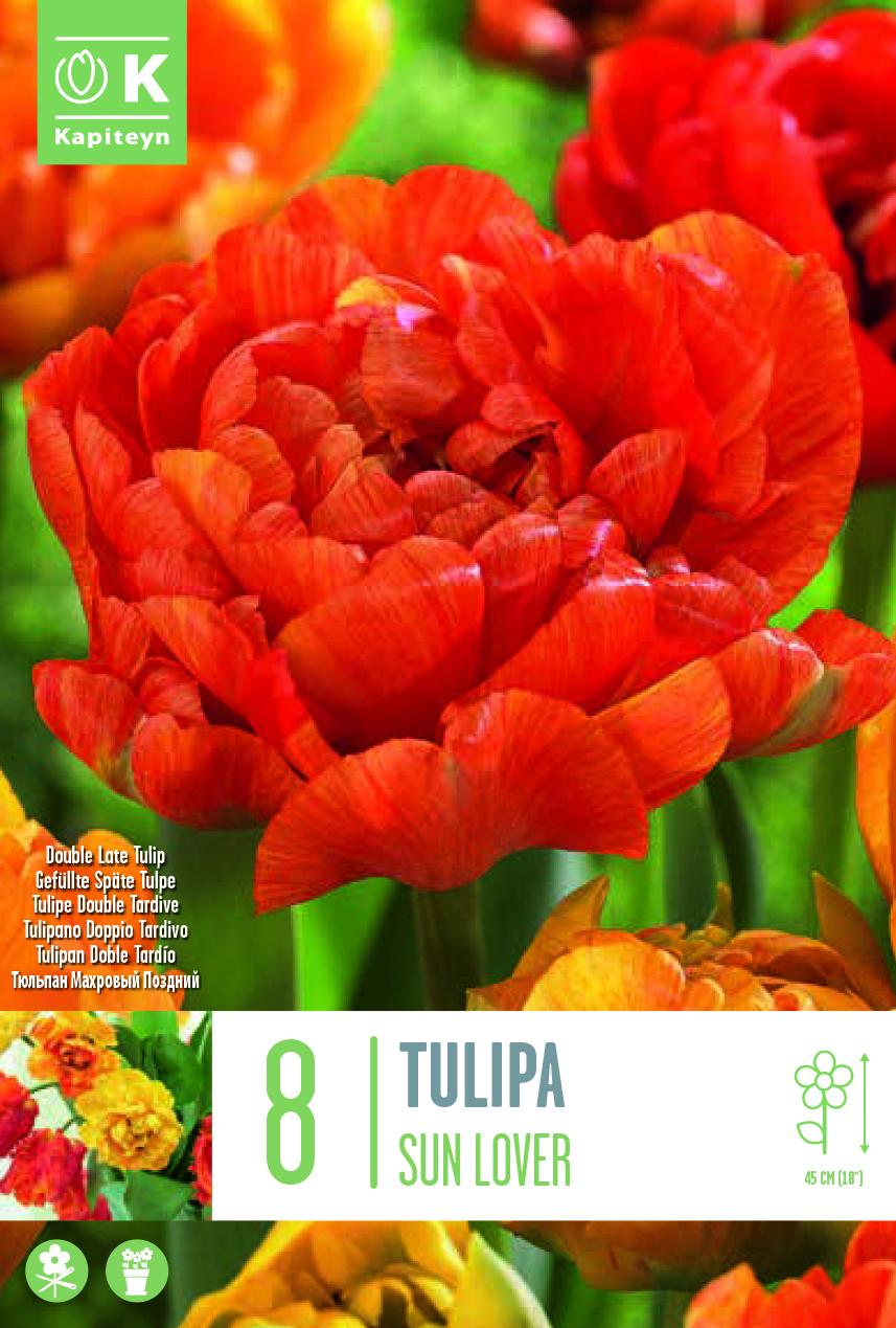 _up79q
