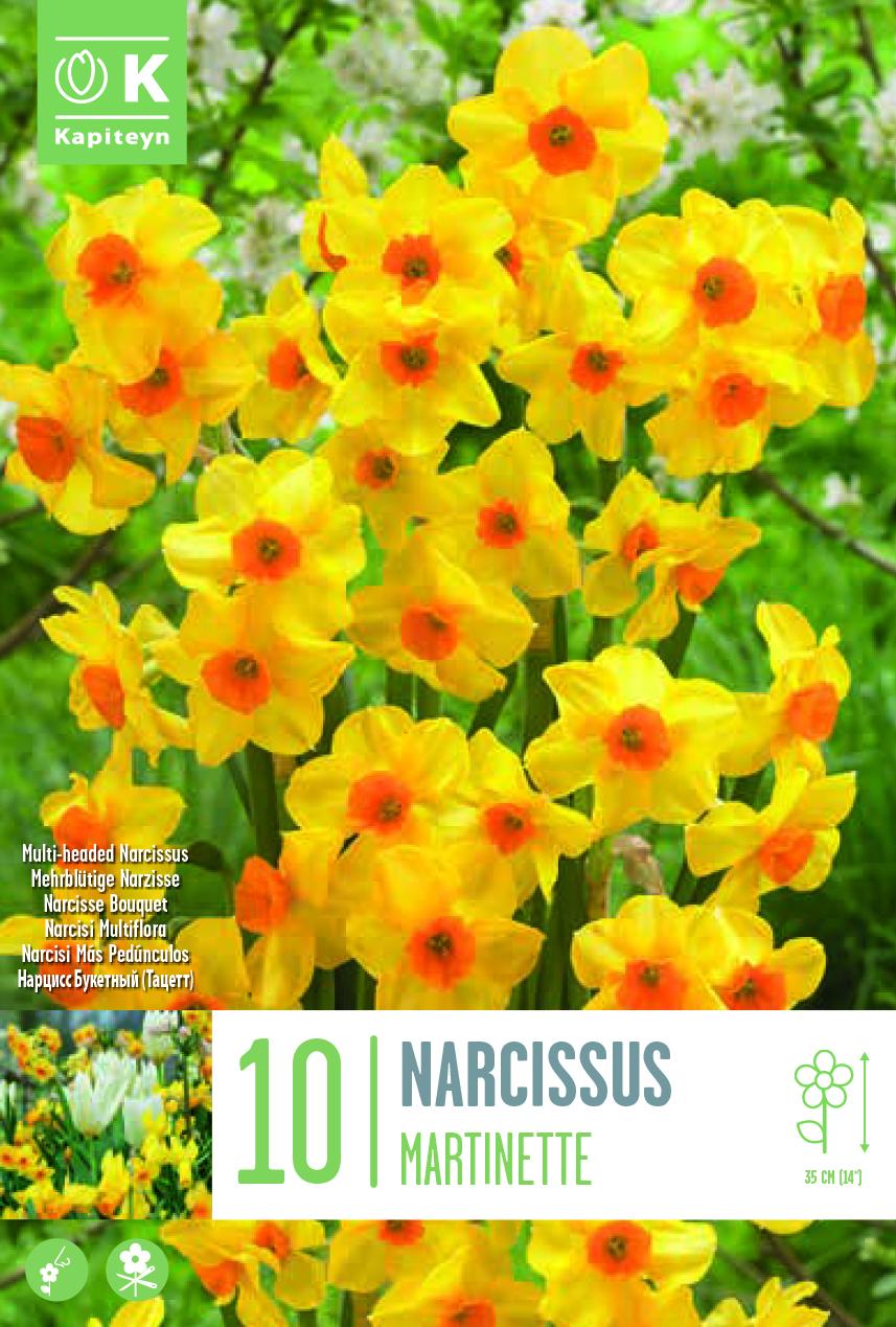 _zstgi