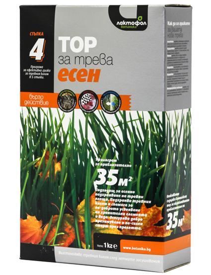tor_esen_0x2ac