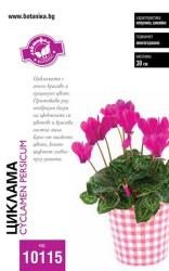 Циклама