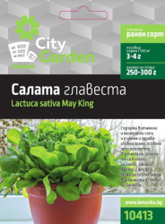 City garden семена салата главеста