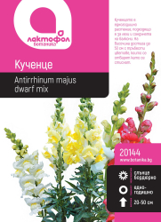 Кученце