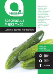 Краставица  Маркетмор