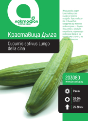 Краставица  Дълга