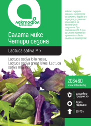 Салата микс Четири сезона