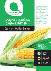 Царевица Сладка Голдън Бантам