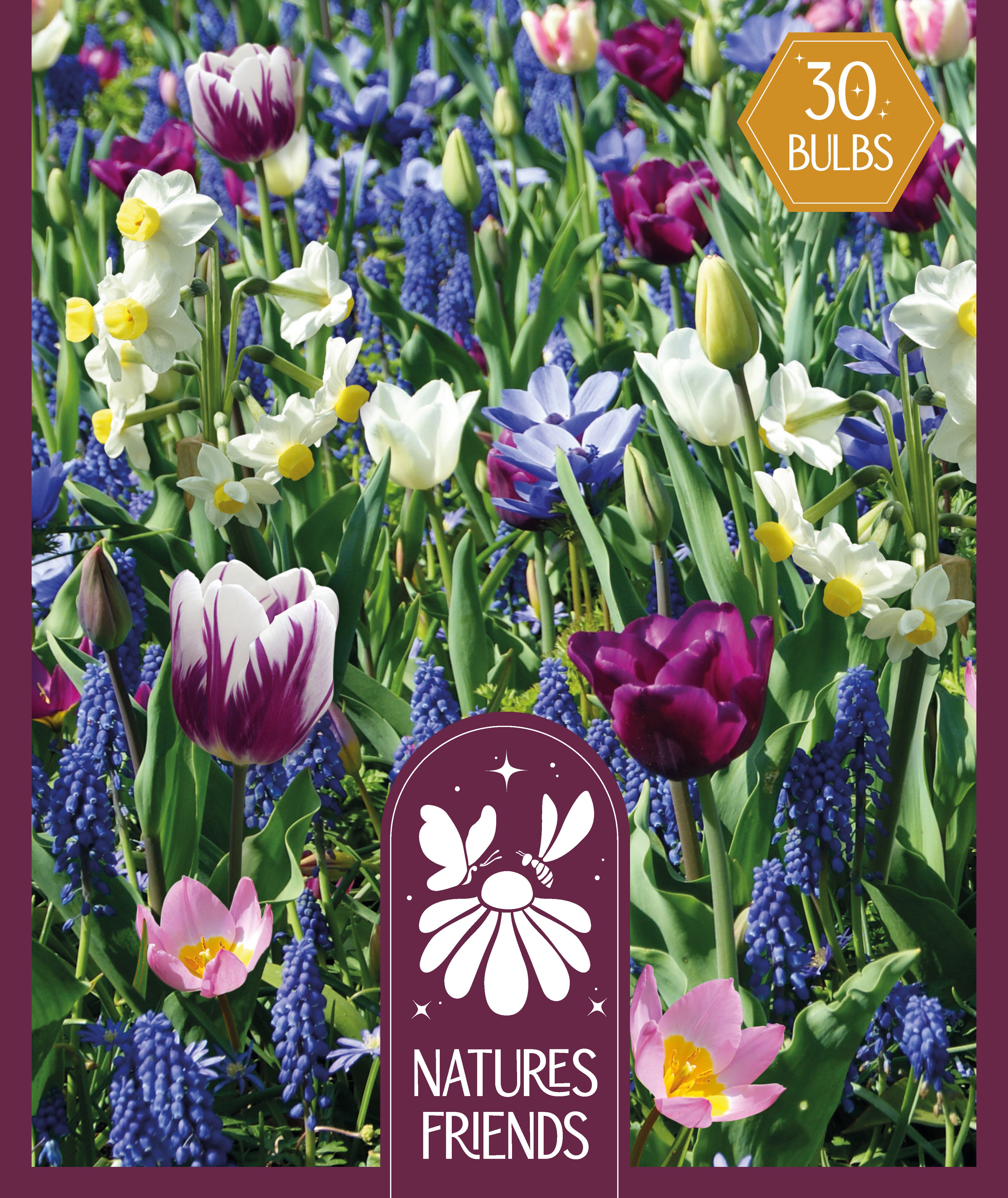 NATURE'S FRIENDS - синьо, 30 бр.луковици