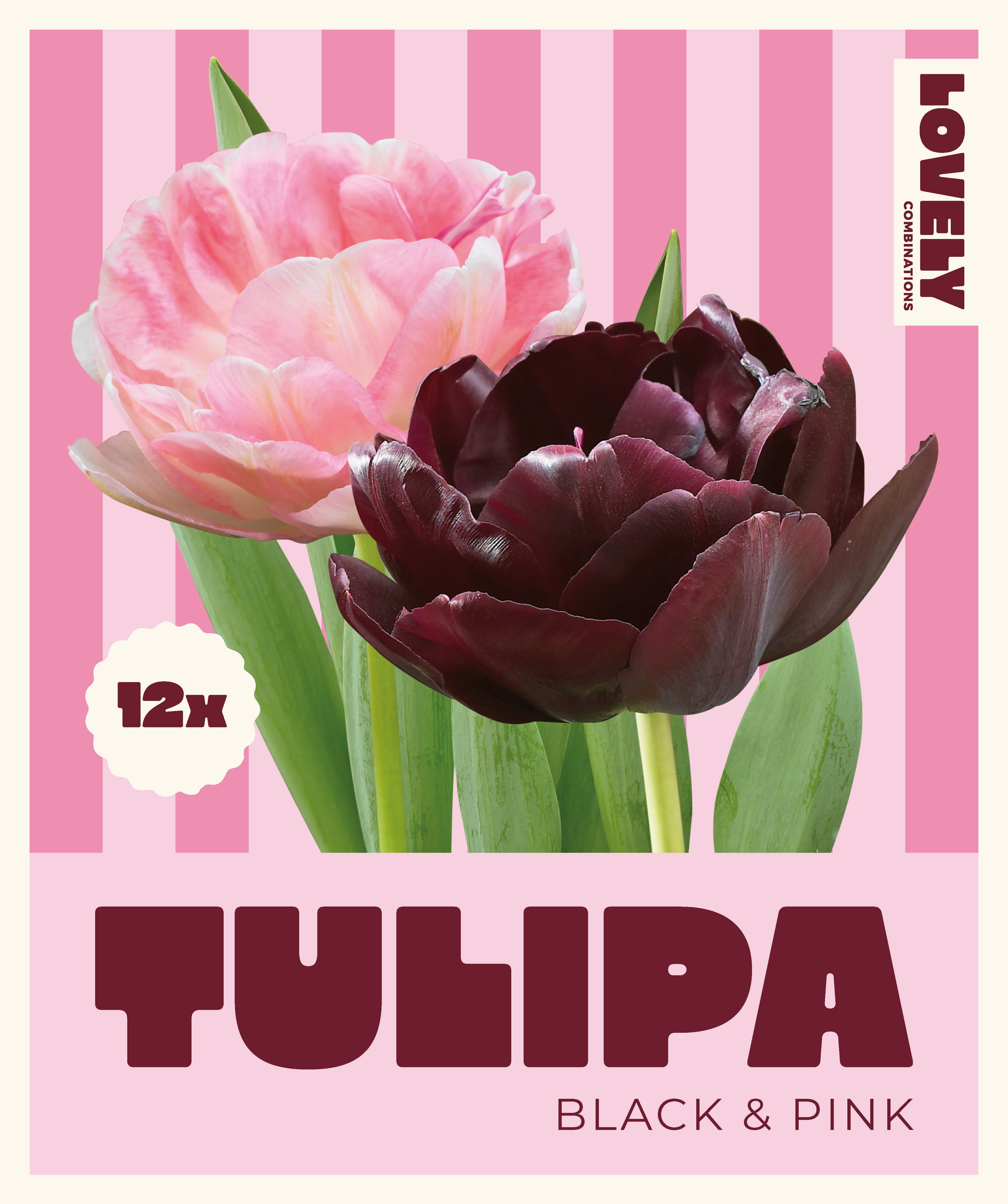 Комбинация ЛАЛЕТА DOUBLE ЧЕРНО И РОЗОВО 12+/ 12 бр.