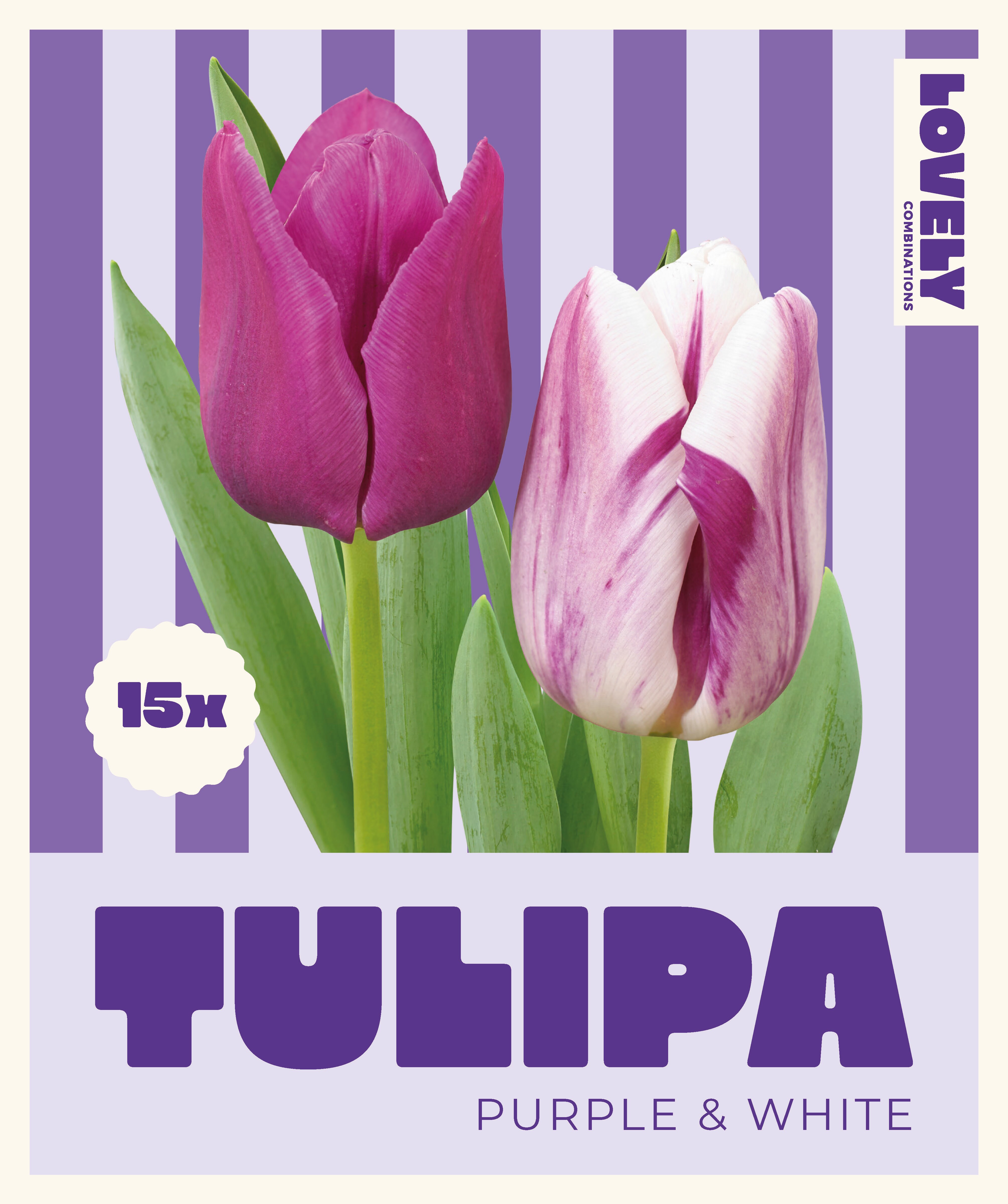 Комбинация ЛАЛЕТА PURPLE AND WHITE 12+/ 15 бр.