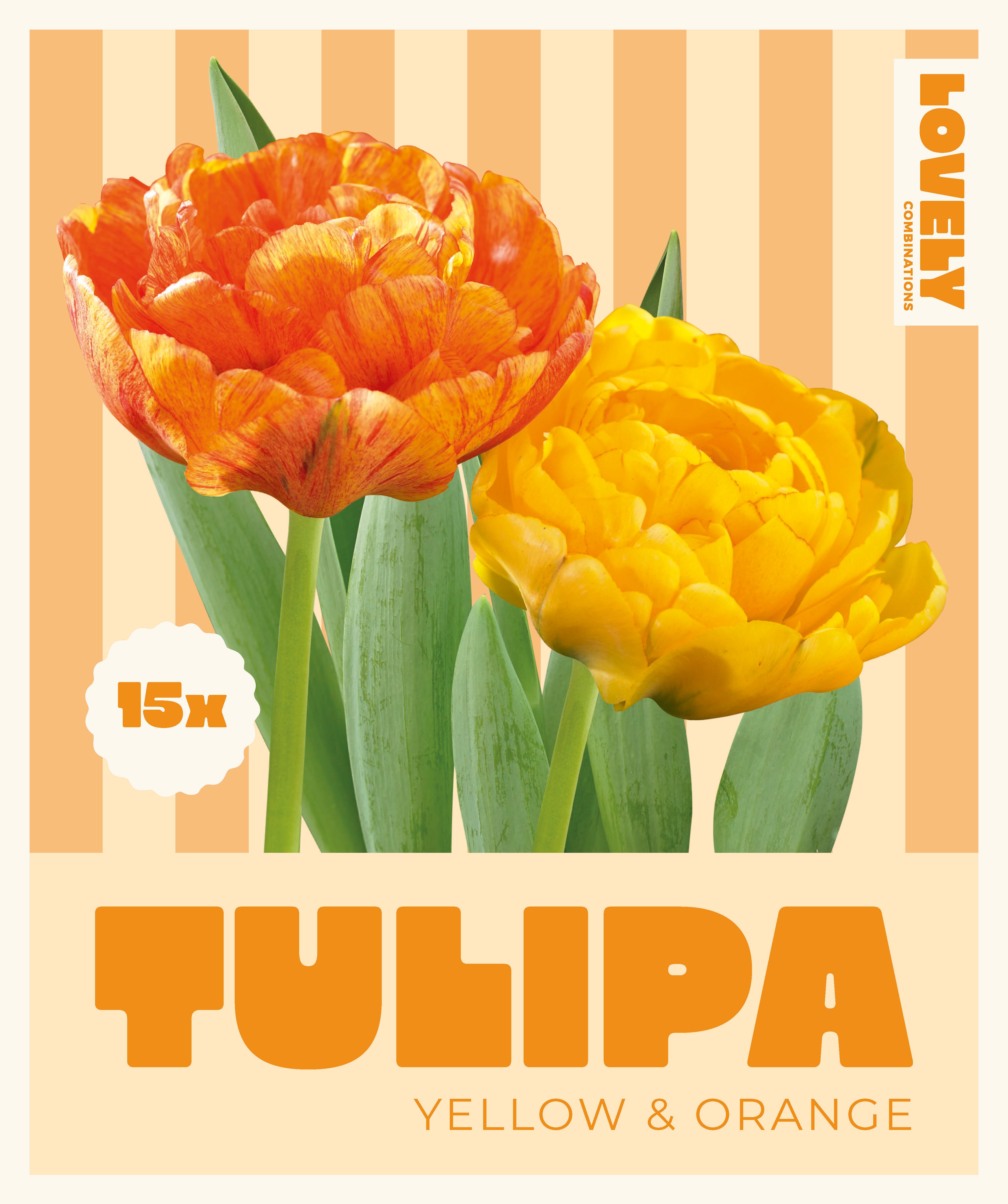 Комбинация ЛАЛЕТА double Yellow, Orange 12+/ 15бр