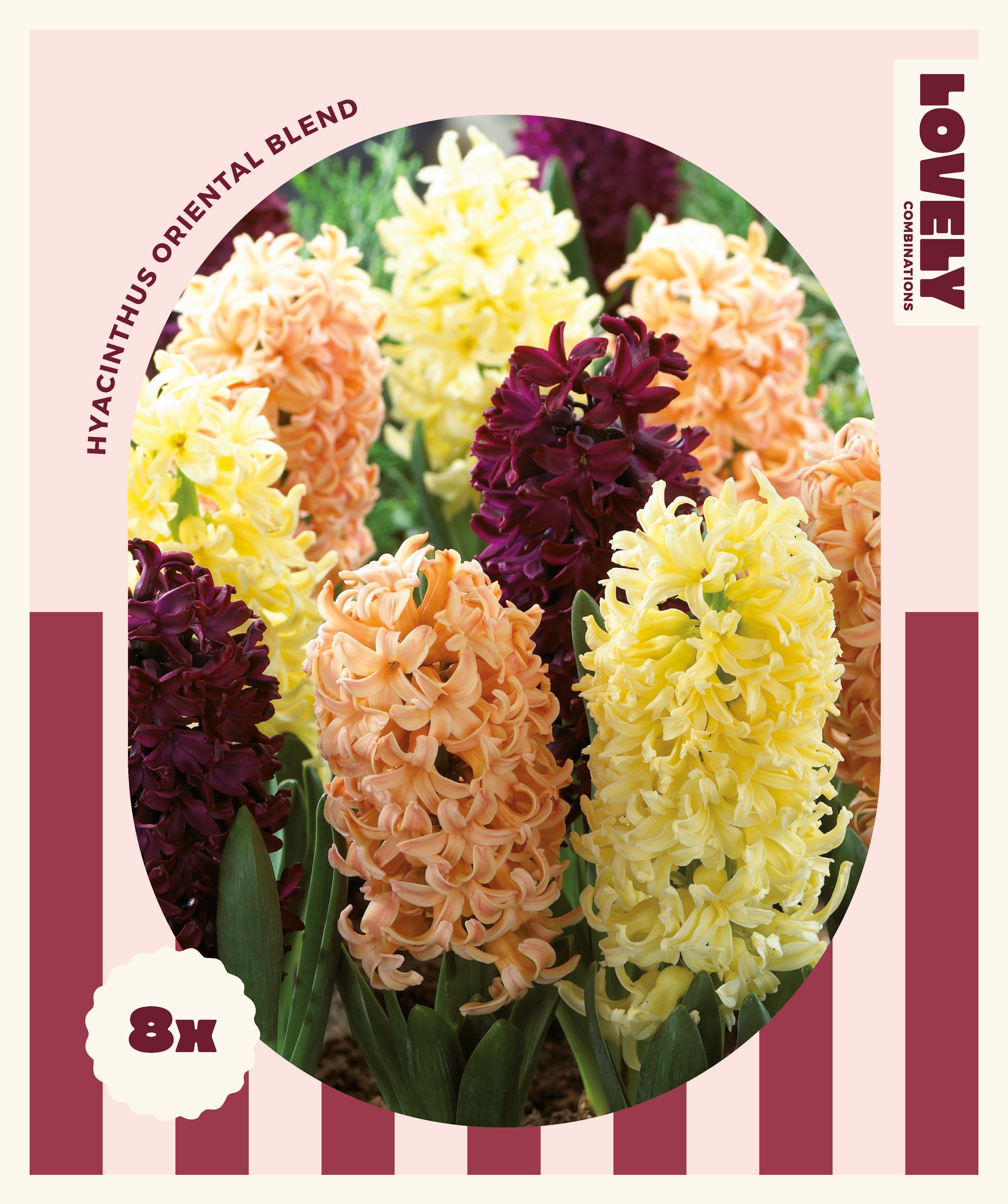 Комбинация ЗЮМБЮЛИ микс ORIENTAL BLEND 8 бр.