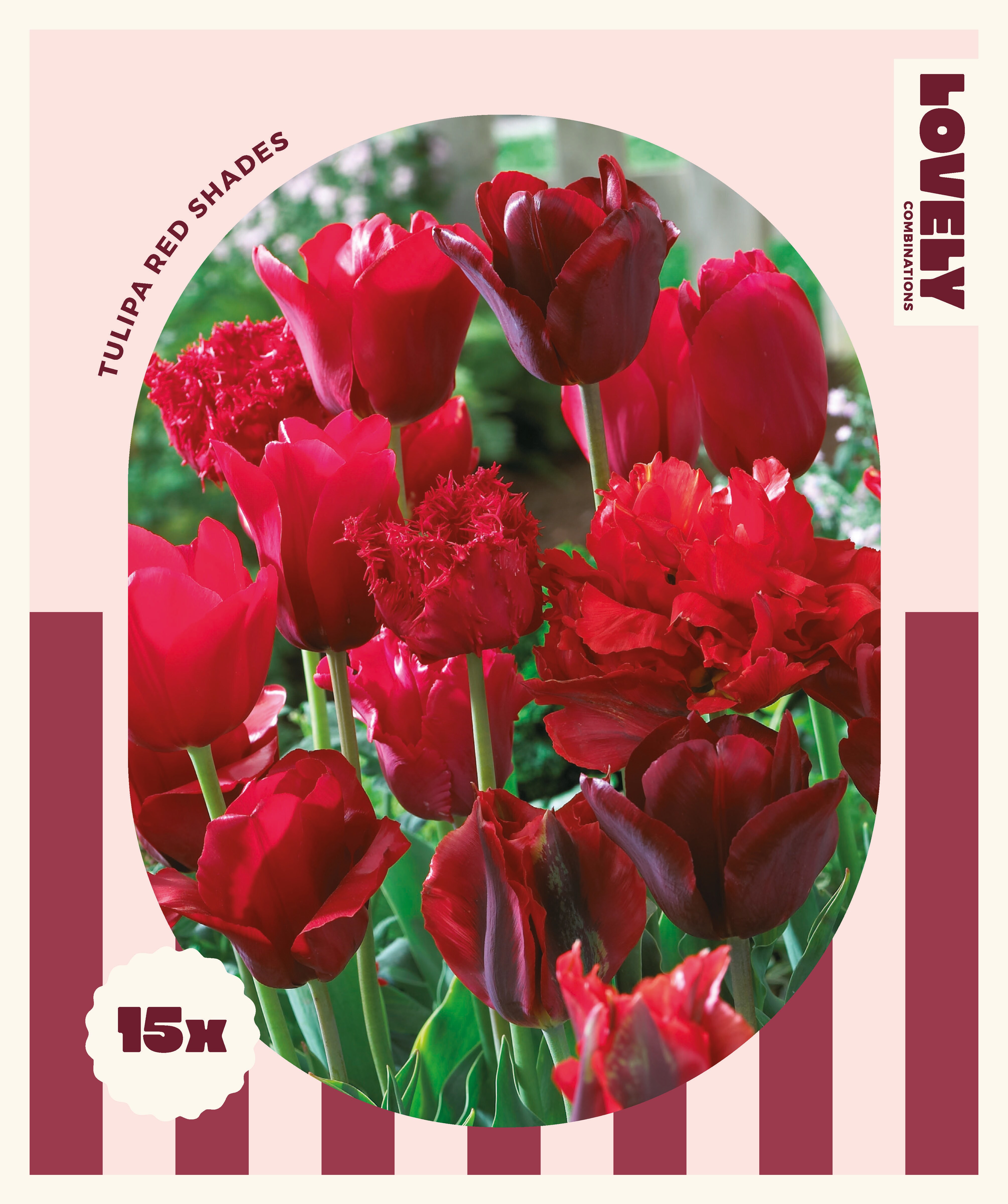 Комбинация ЛАЛЕТА Red Shades 12+ /15бр