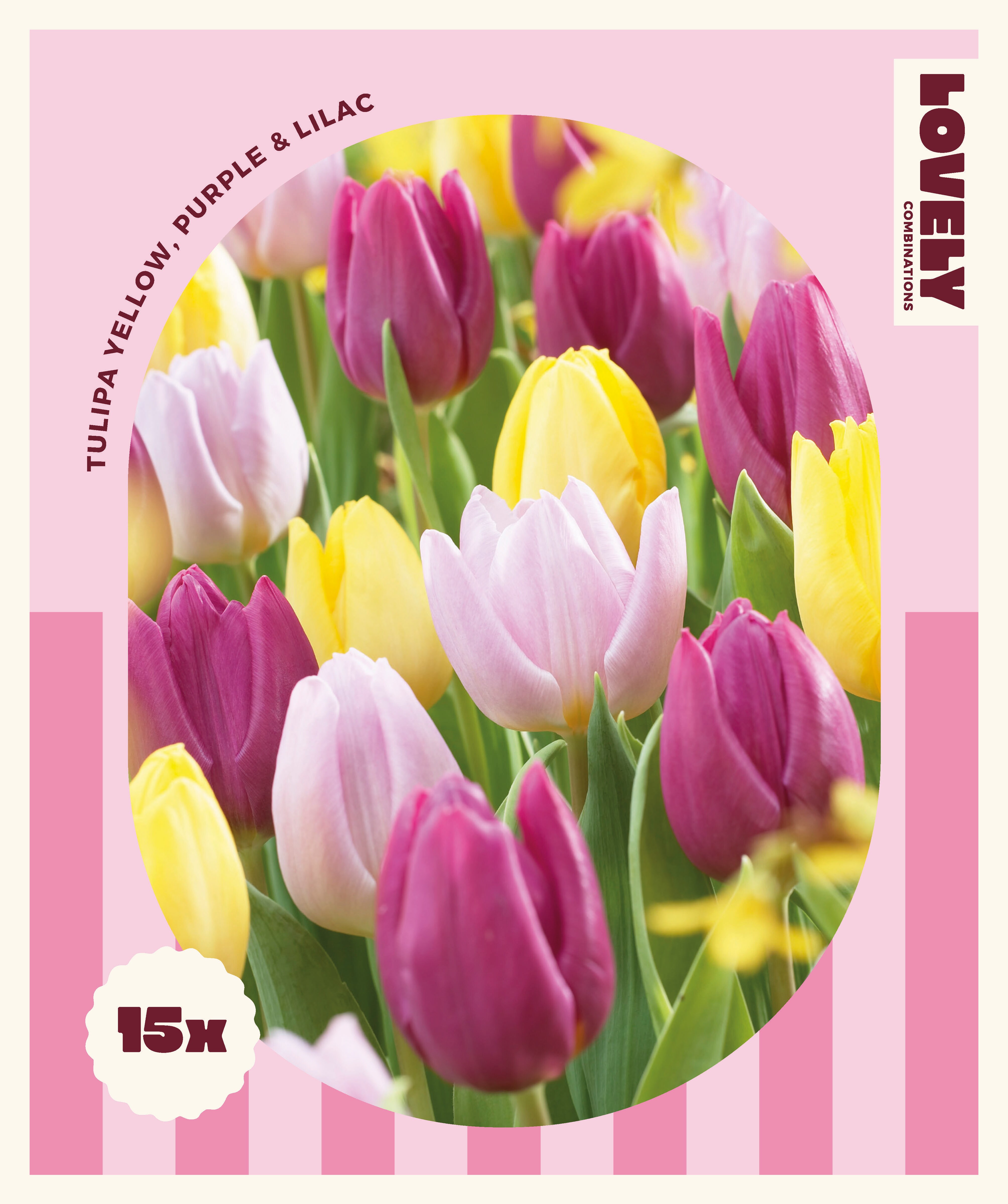 Комбинация лалета YELLOW, PURPLE & LILAC 15 бр.