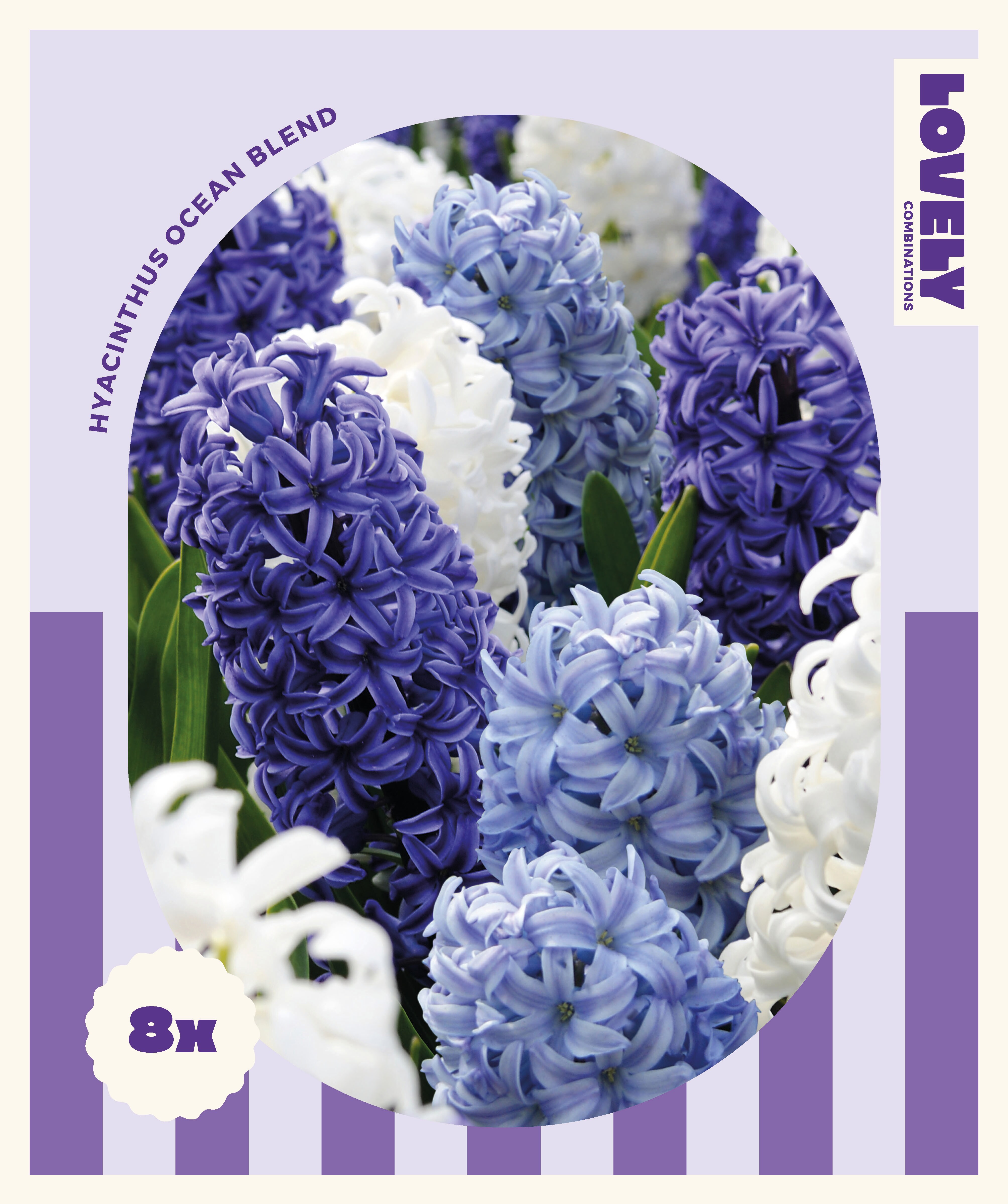 Комбинация ЗЮМБЮЛИ OCEAN BLEND  15/16 8 бр.