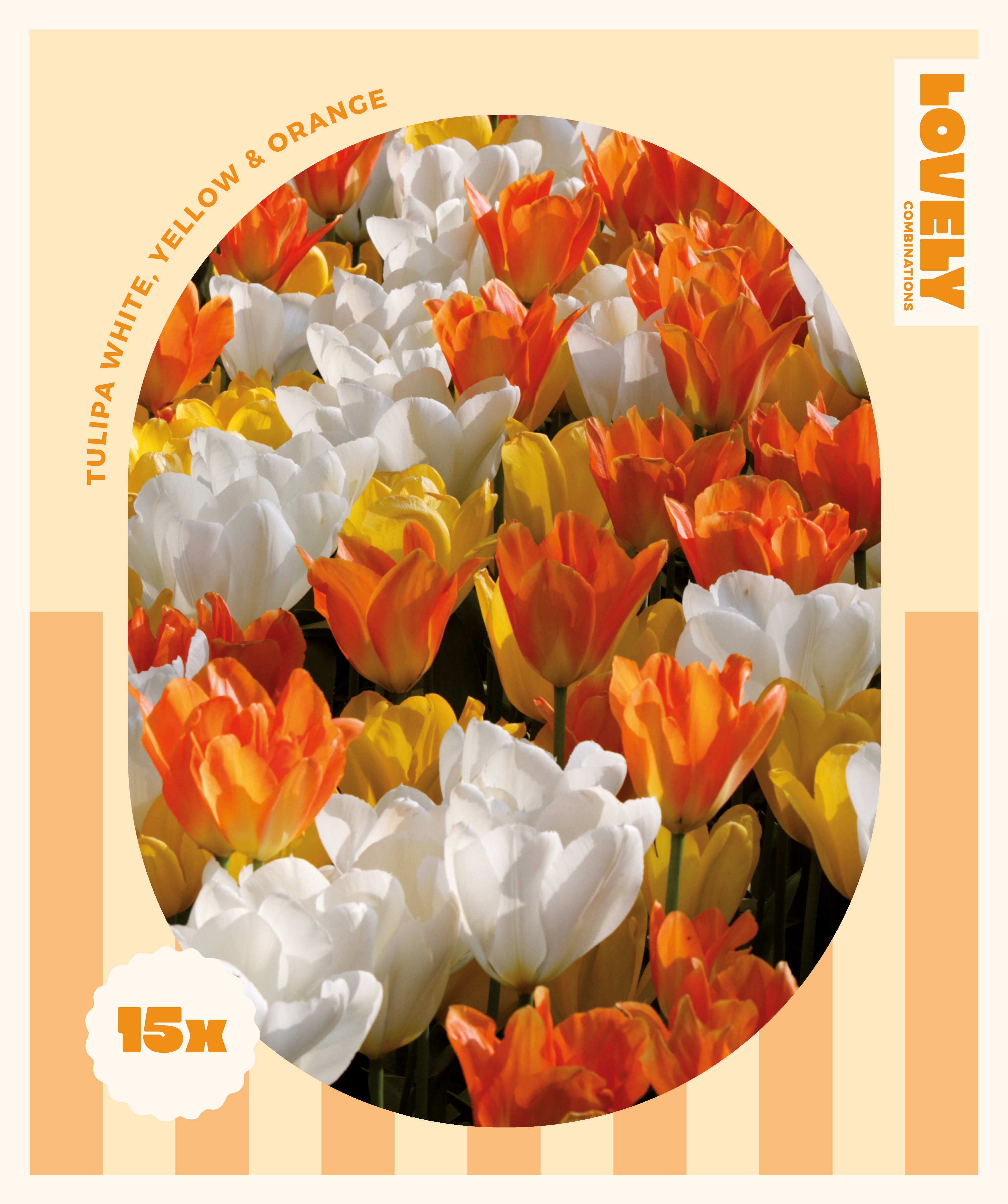 Комбинация ЛАЛЕТА White,Yellow and Orange 11/12 15бр
