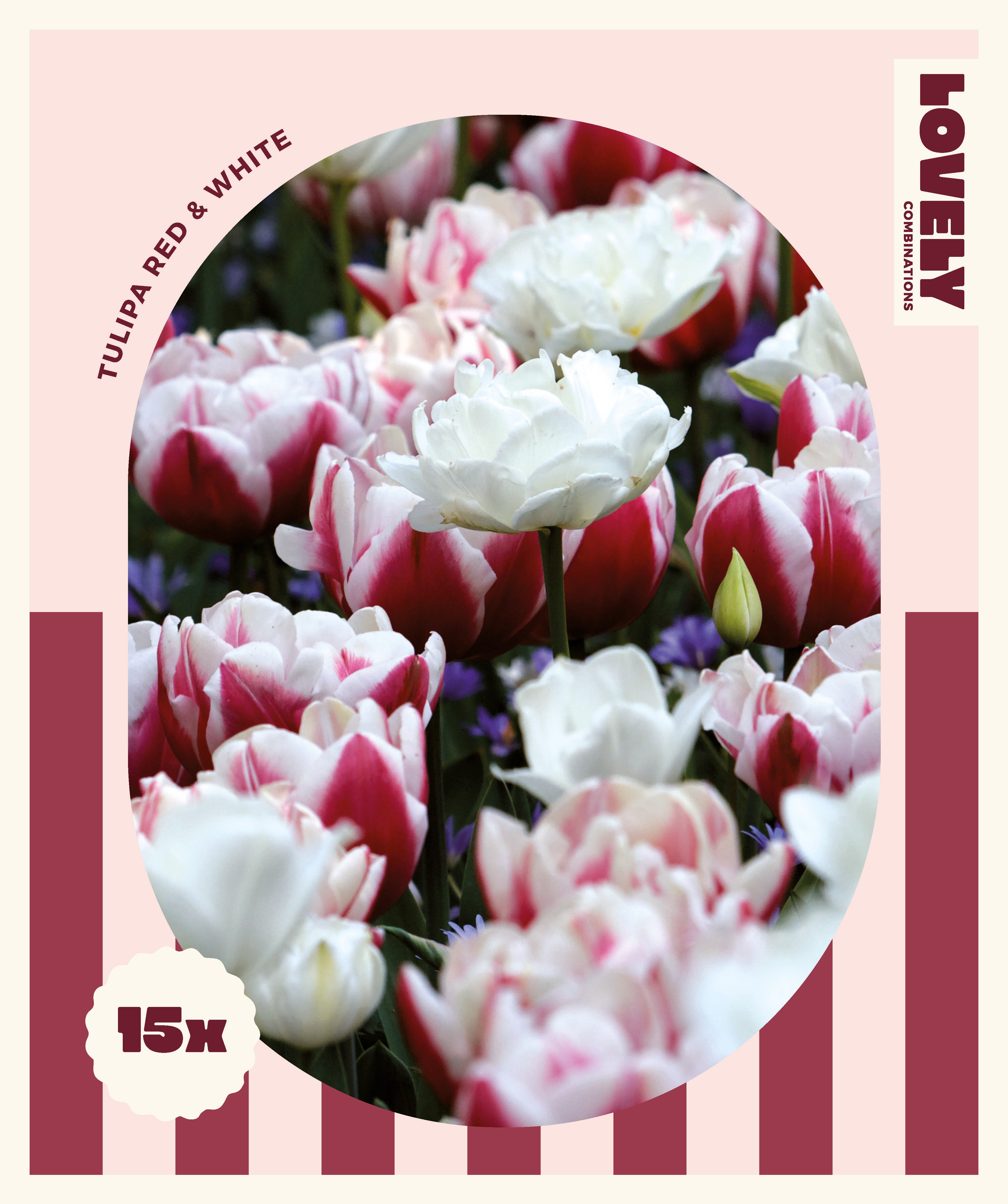 Комбинация ЛАЛЕТА DOUBLE RED & WHITE 15 бр.