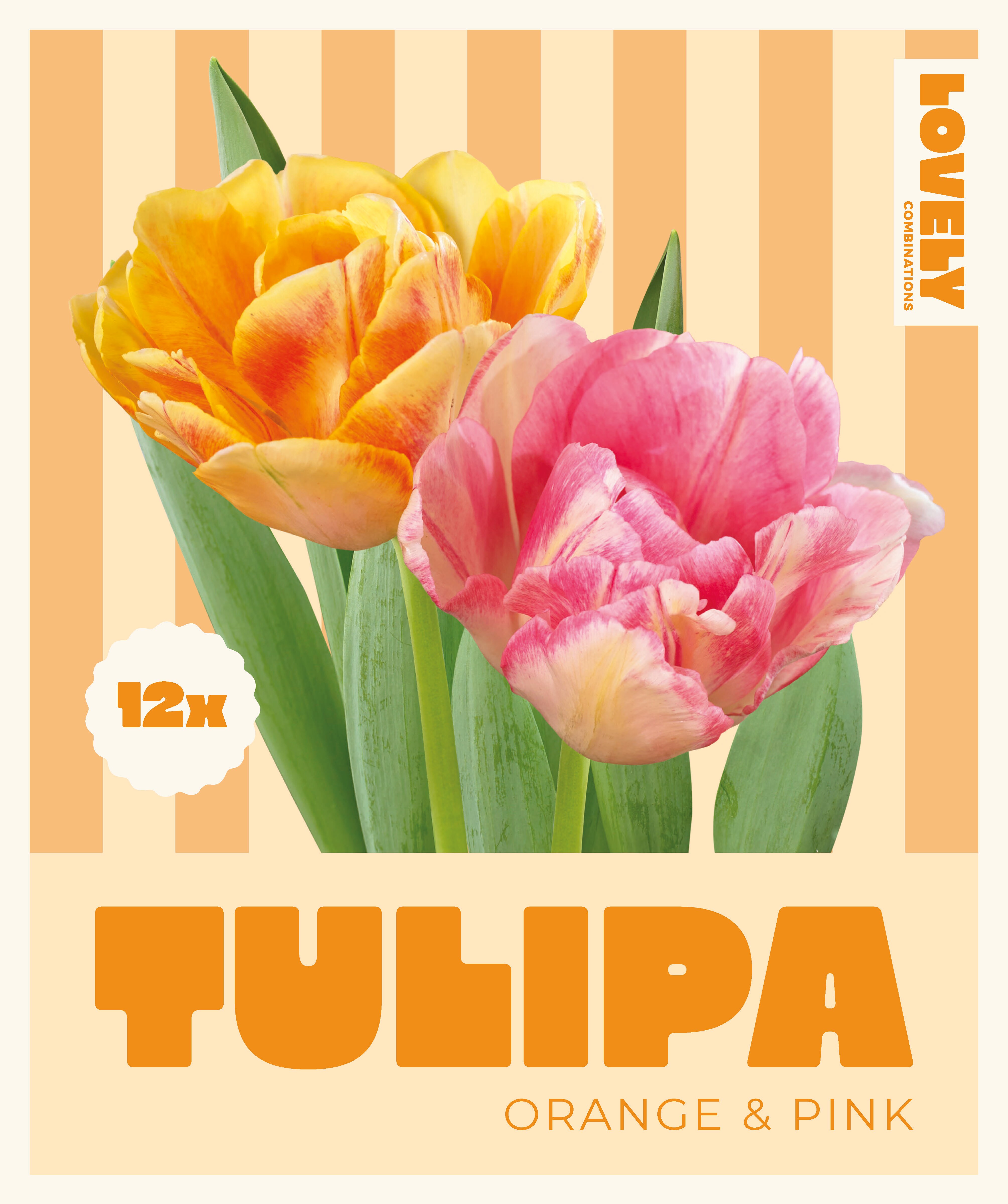 Комбинация ЛАЛЕТА ORANGE AND PINK 12 бр.