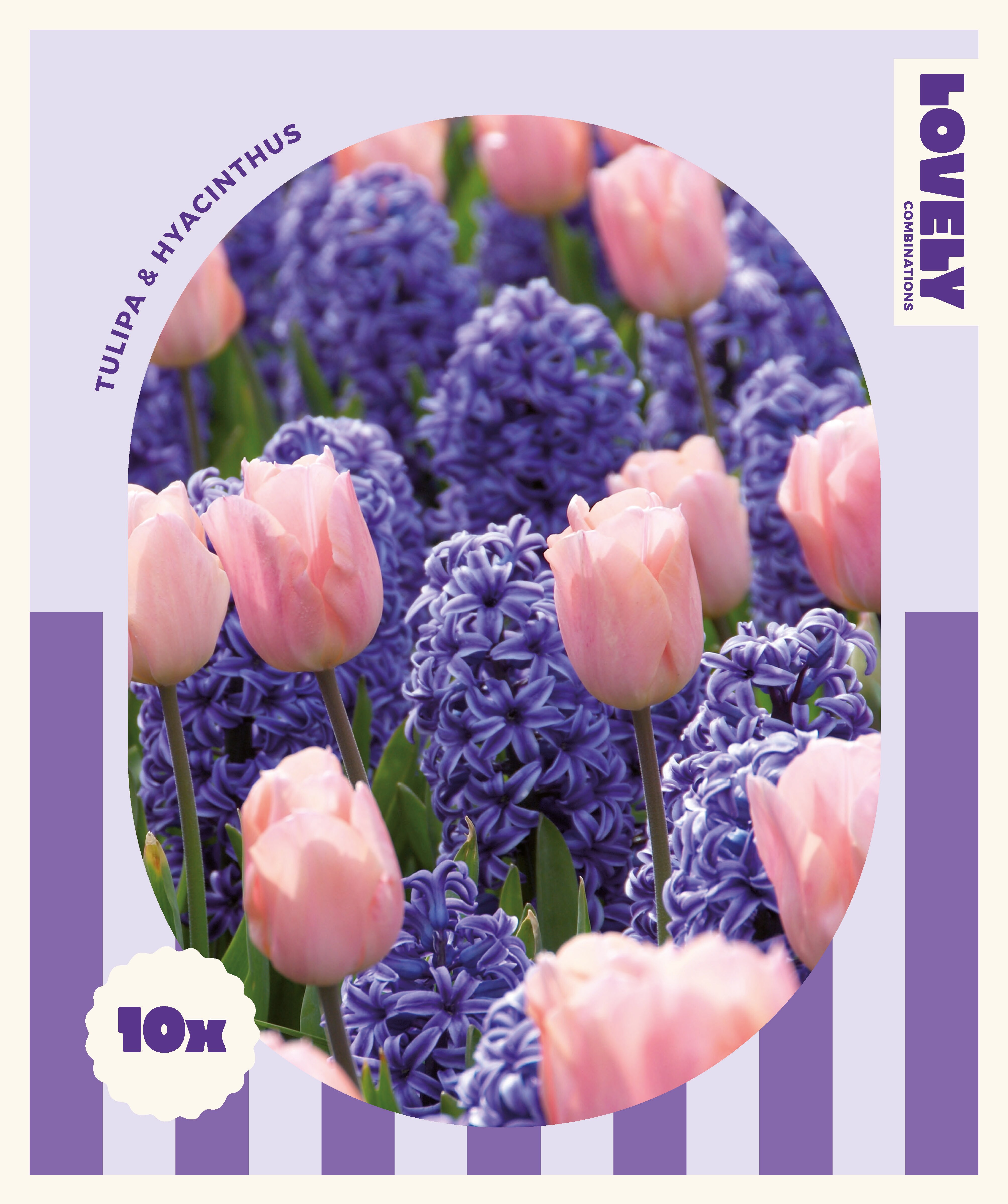 Комбинация ЛАЛЕТА И ЗЮМБЮЛИ BLUE AND PINK 12+/ 10 бр.