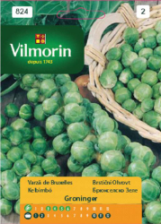 Брюкселско зеле GROENINGER