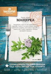 Мащерка