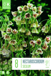 Алиум NECTAROSCORDUM SICULUM 8/10 - 8 бр.