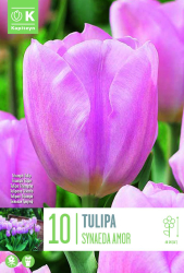 Лале TRIUMPH SYNAEDA AMOR 11/12 10 бр.