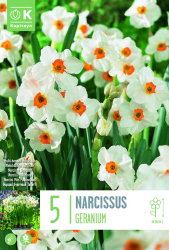 Нарцис BUNCH FLOWERING GERANIUM 14/16 5 бр.