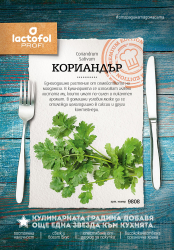 Кориандър