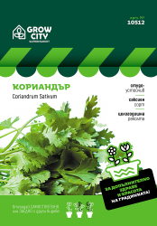 Кориандър