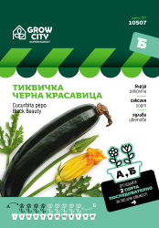 Тиквичка Черна красавица