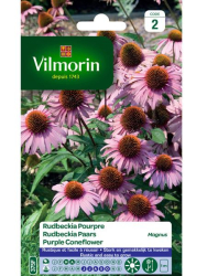 Ехинацея MAGNUS/Rudbeckia