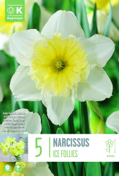 Нарцис LARGE CUPPED ICE FOLLIES 14/16 5 бр.