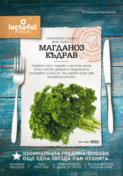 Магданоз Къдрав