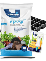 Промо пакет СТАРТ