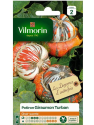 Тиквичка GIRAUMON TURBAN